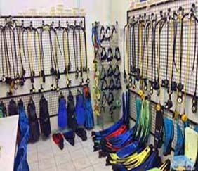 Fishing  and Diving Sport Retail Business for SALE in Abu Dhabi